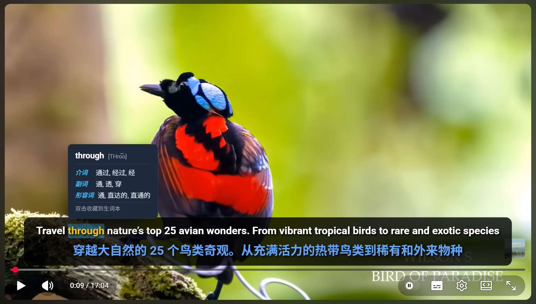 YouTube dual-language subtitles learning interface